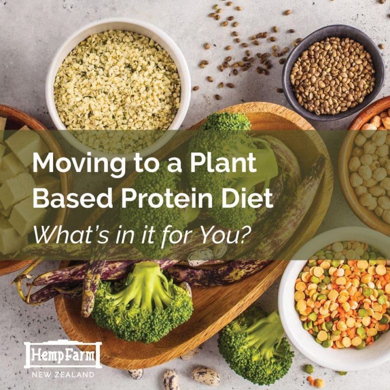 Reasons To Choose a Plant-Based Protein Diet