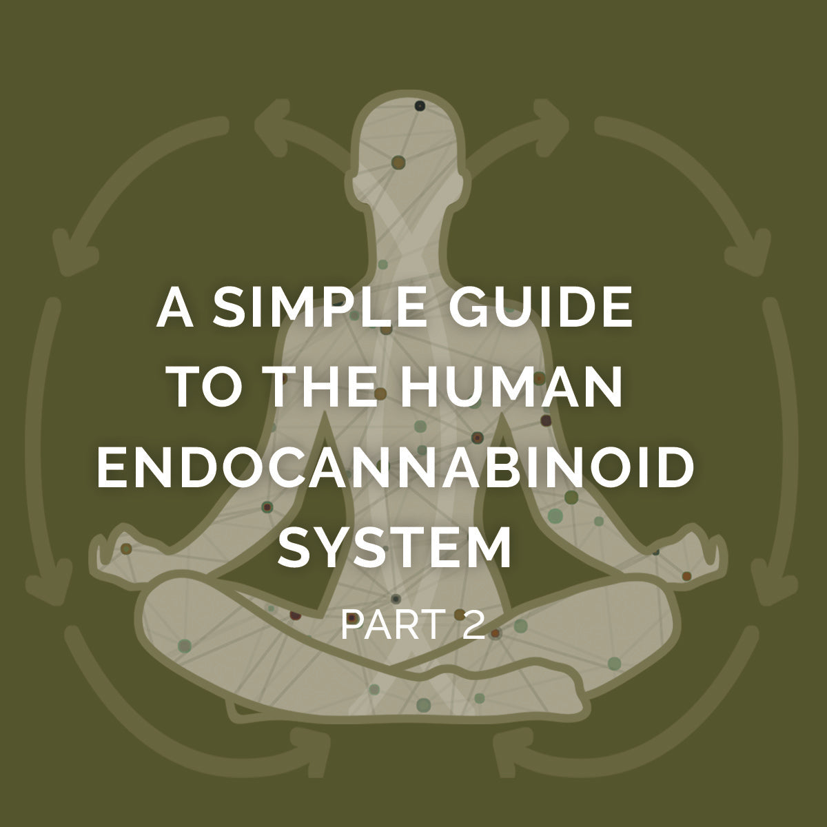 Part 2: Endocannabinoid System