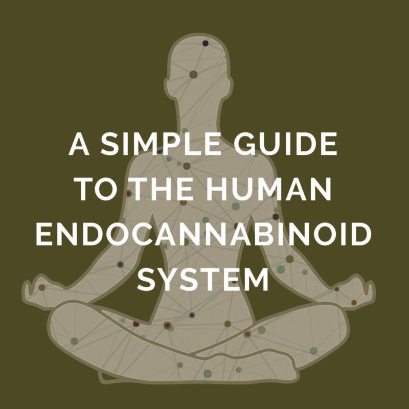 Part 1: Endocannabinoid System