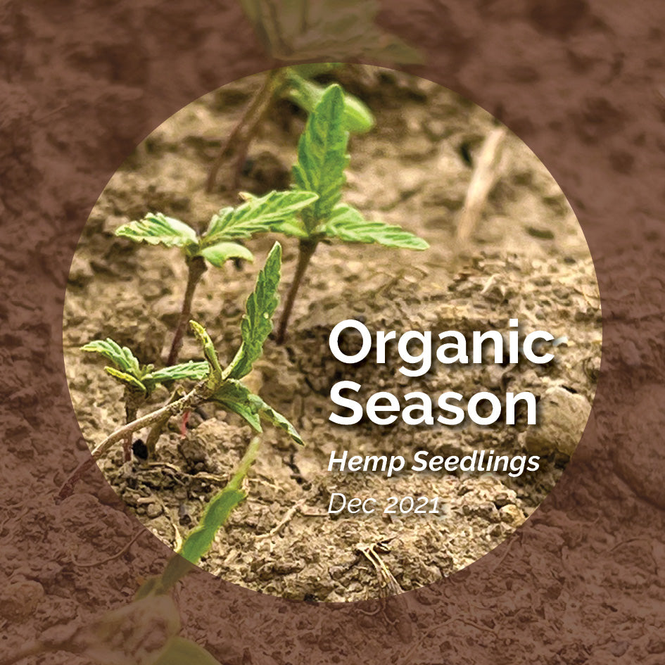 Meet The Organic Hemp Grower