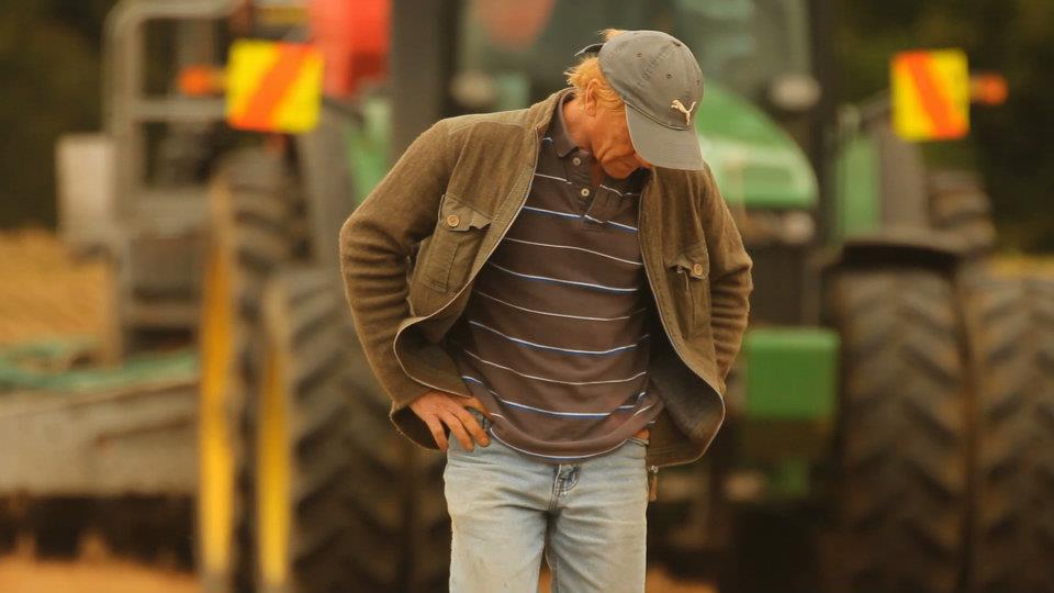 A Seed is Planted! – Part 1, Our Hemp Farm Story