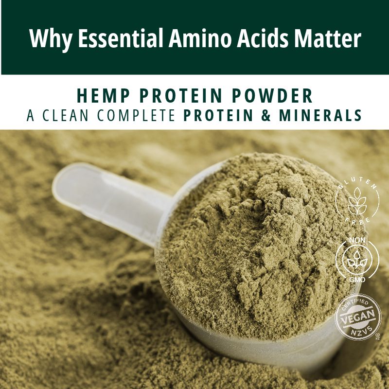 Hemp Protein and Healthy Ageing