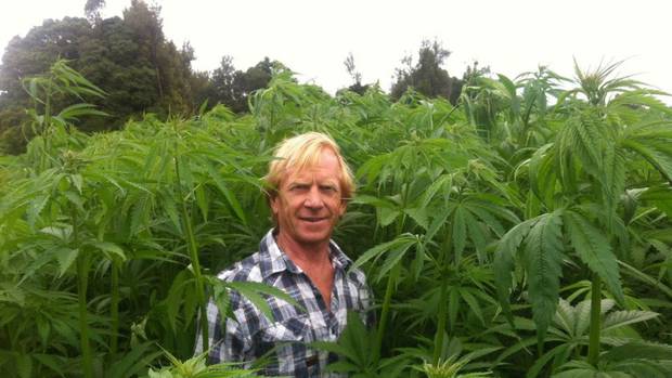 Small Business: Growing hemp to be eaten and to make cars