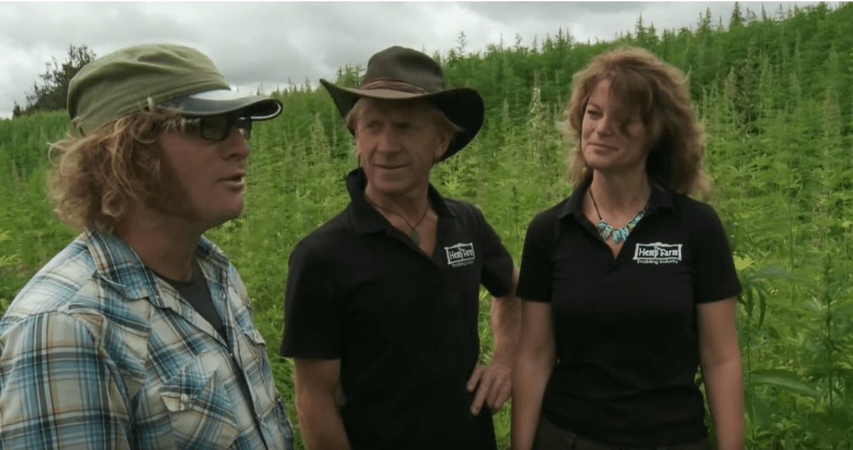 ‘Global Radar’ visits The Hemp Farm New Zealand