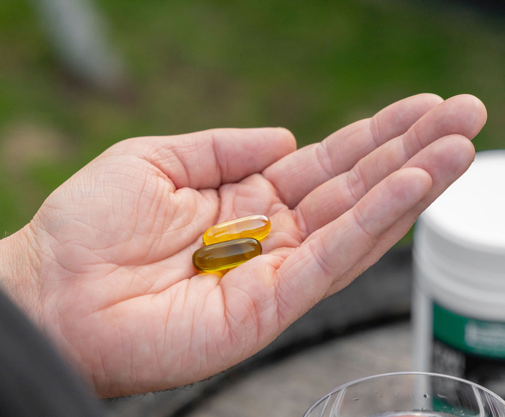 Flax Seed Oil or Hemp Seed Oil - What's The Difference?