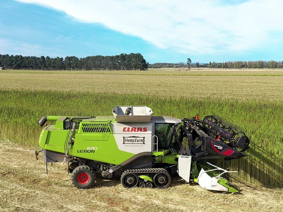 HempFarm New Zealand 2019 Harvest A Huge Success!