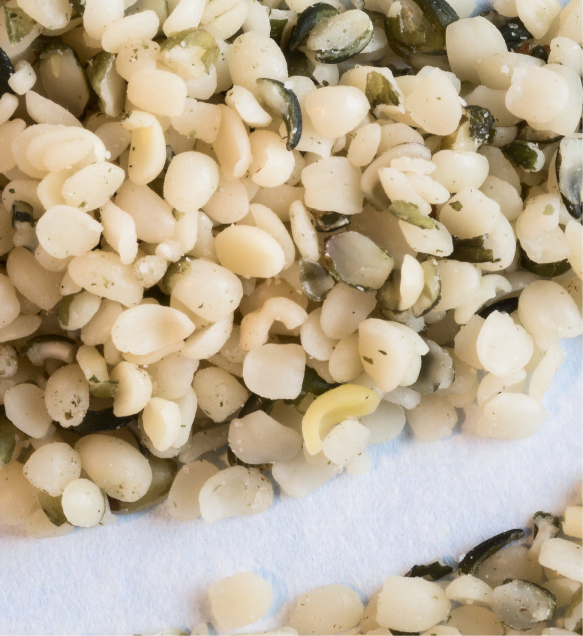 Can Hempseed Foods Help Improve School Lunches in New Zealand?