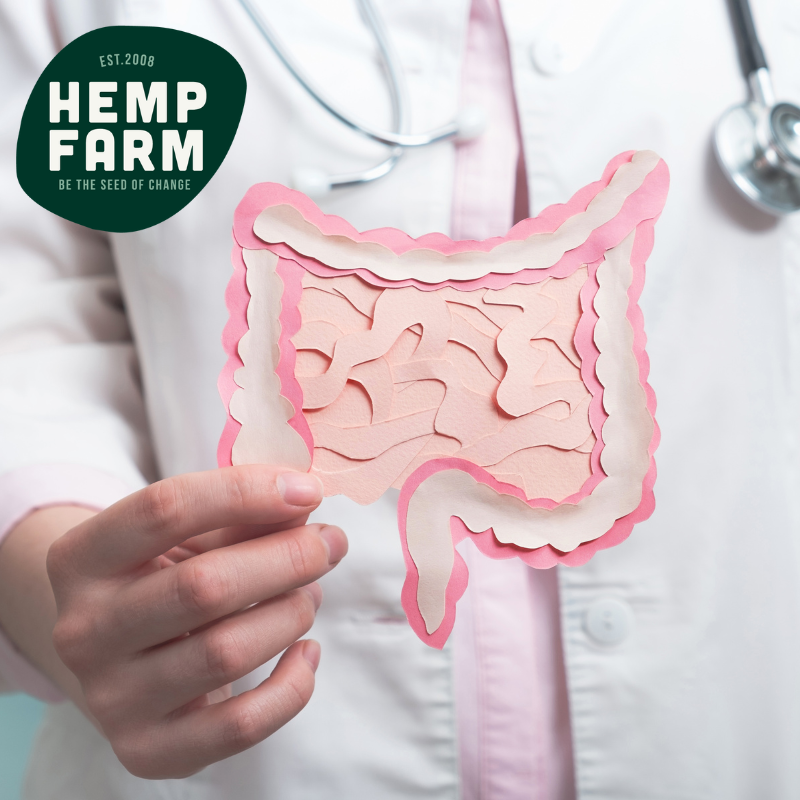 Gut Health