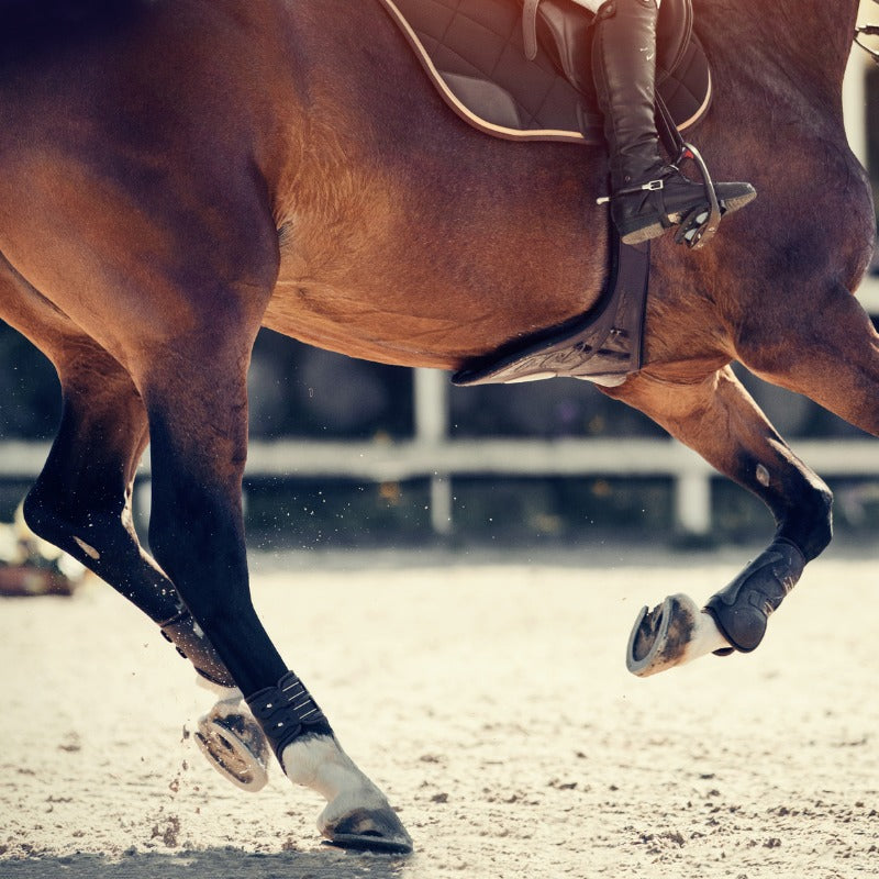 Horsde Hoofs