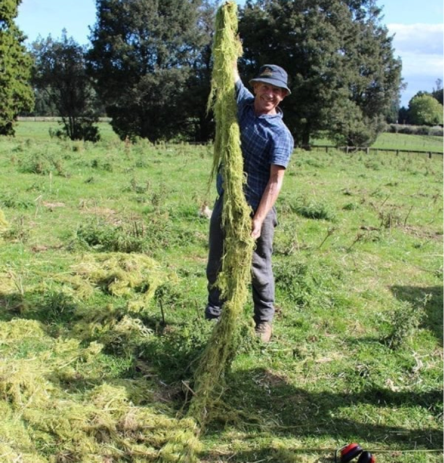 NZ Yarn & Hemp Farm Partnership formed